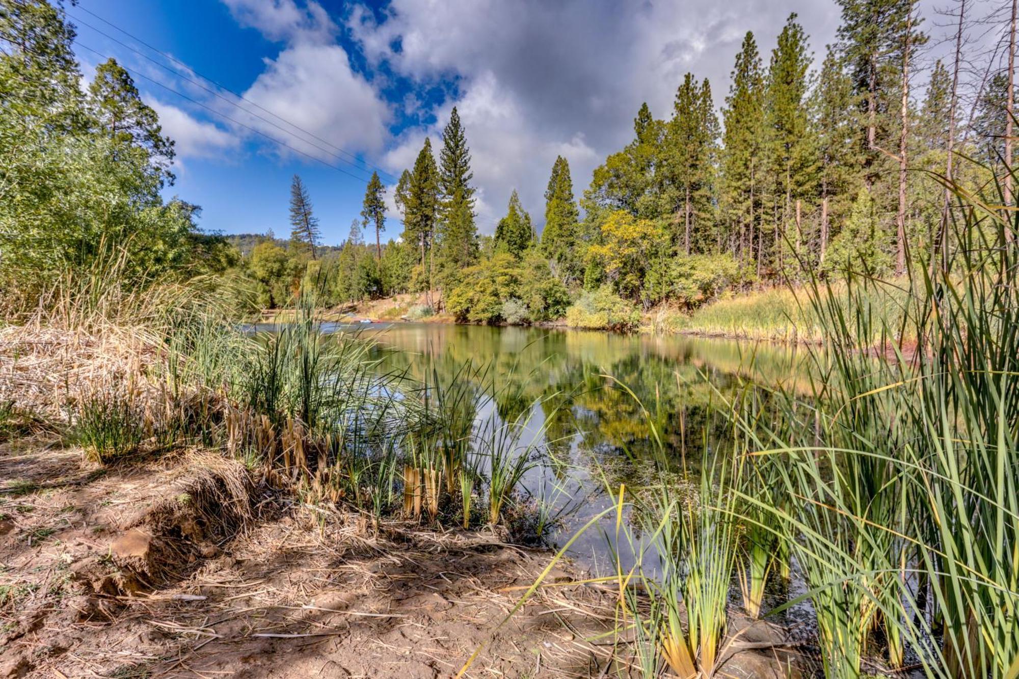 Pet-Friendly Escape With Game Room And Fire Pit! North Fork Bagian luar foto